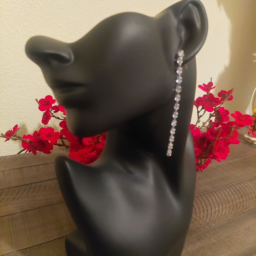 Elegant Silver Drop Earrings